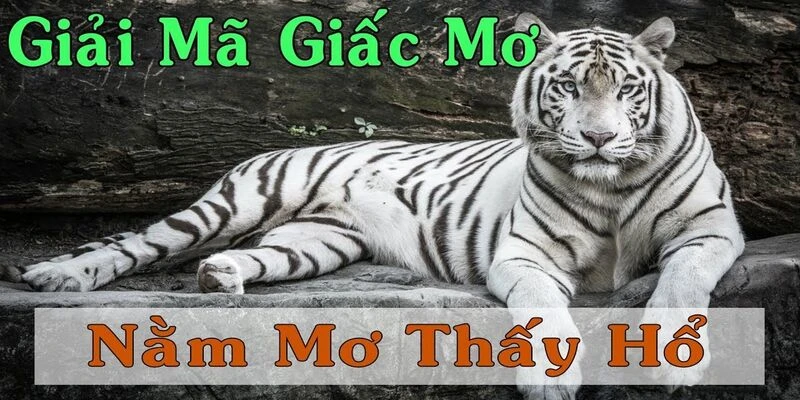 nam-mo-thay-ho-danh-so-gi