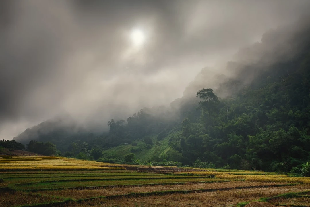 mindfulness-para-principiantes-duoi-goc-nhin-cua-ngoc-minh