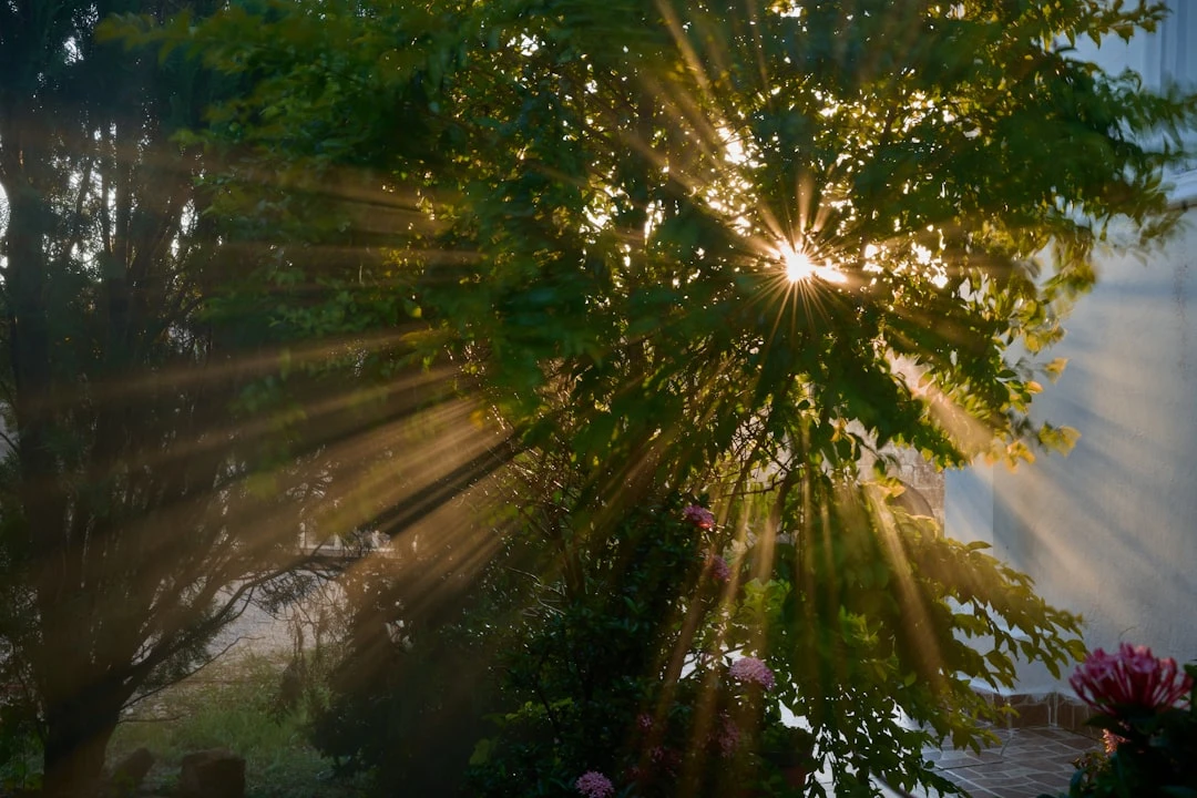 mindfulness-ucsd-cach-thien-chanh-niem-giup-ban-tim-lai-binh-yen