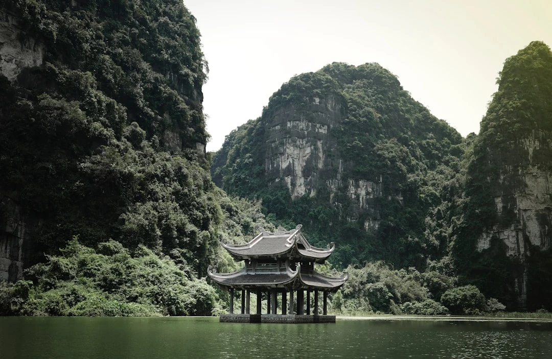 thien-yoga-la-gi-duoi-goc-nhin-cua-chuyen-gia