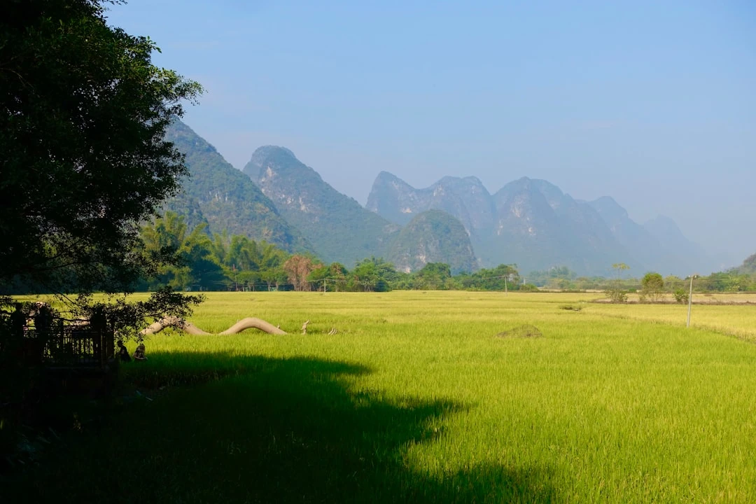 cach-giam-stress-trong-cuoc-song-duoi-goc-nhin-cua-ngoc-minh