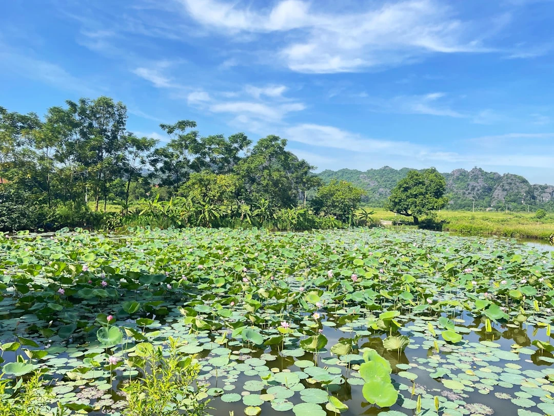 mindfulness-la-nguon-hanh-phuc-goc-nhin-tu-ngoc-minh