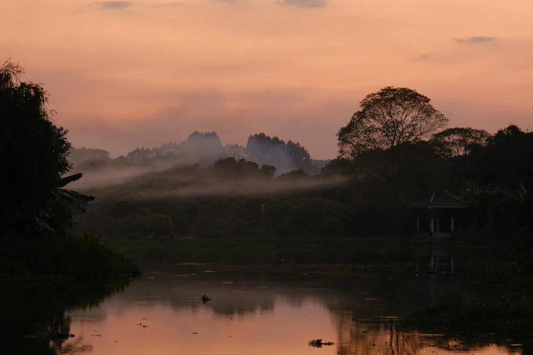 mindfulness-nice-guidelines-hanh-trinh-toi-binh-yen-duoi-goc-nhin-nha-nghien-cuu