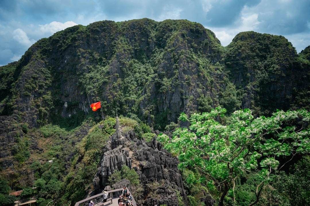 mindfulness-root-word-kham-pha-ngon-tu-coi-nguon